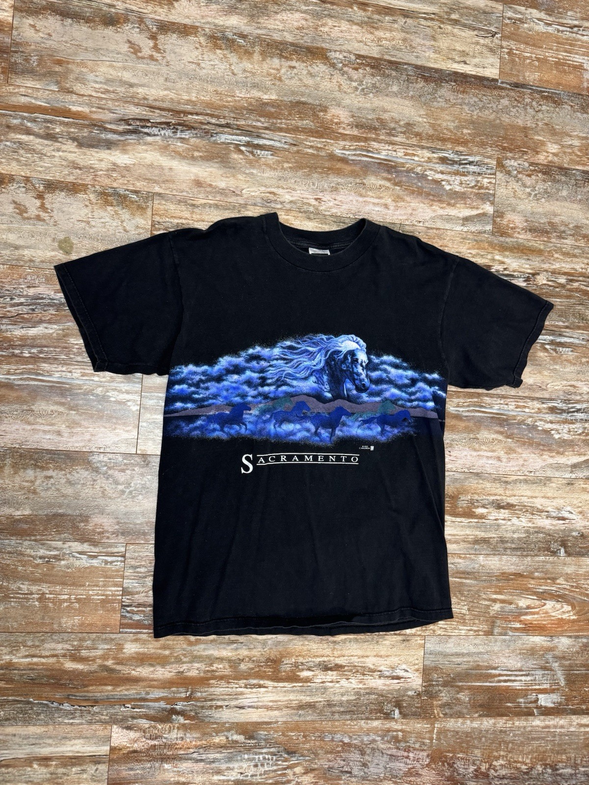 Vintage 1992 C. Waldron Sacramento California T-Shirt Size XL Wild Horses