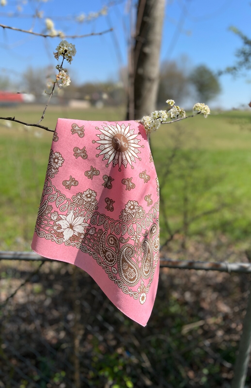 Floral Paisley 22×22 Bandanna