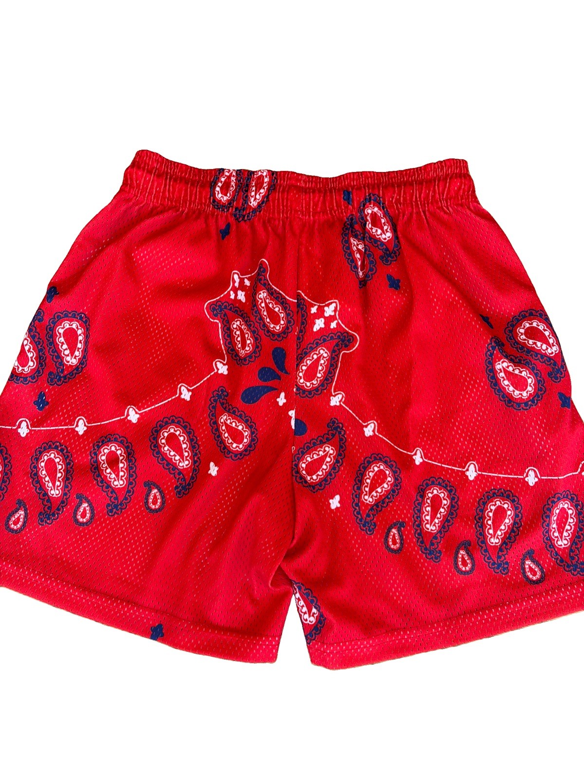 Eric Emanuel EE Basic Red And Blue Paisley Shorts Medium