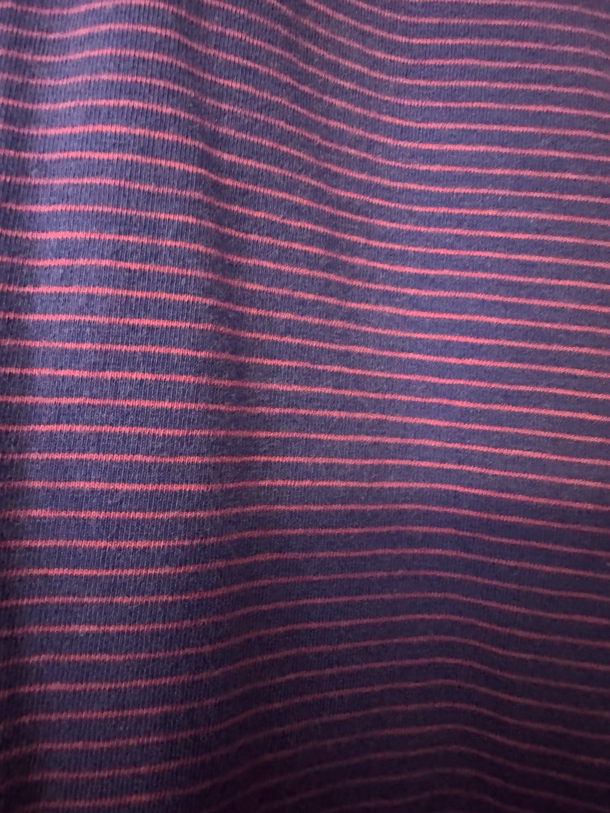 Holderness & Bourne Blue/Red Polo
