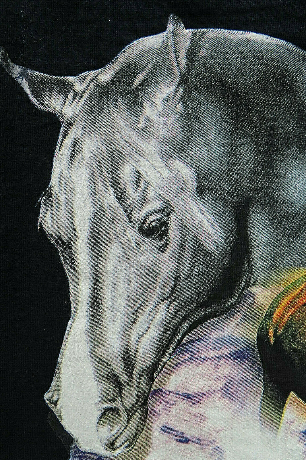 Sky Dancer Native Pride Horses, Graphite Men’s T-Shirt Size M.