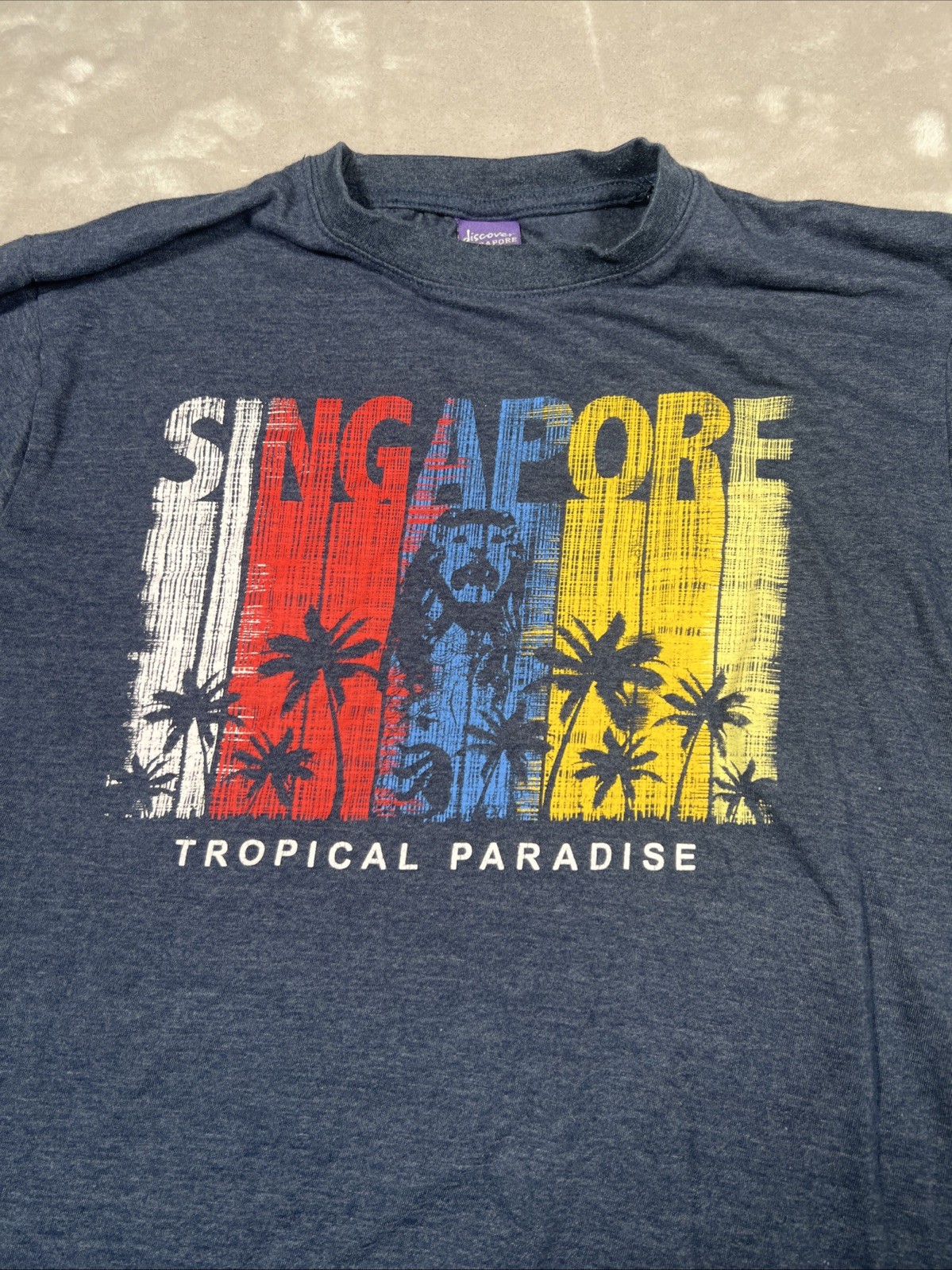 Mens Discover Singapore Blue T-shirt Size Large Cotton – Free Shipping
