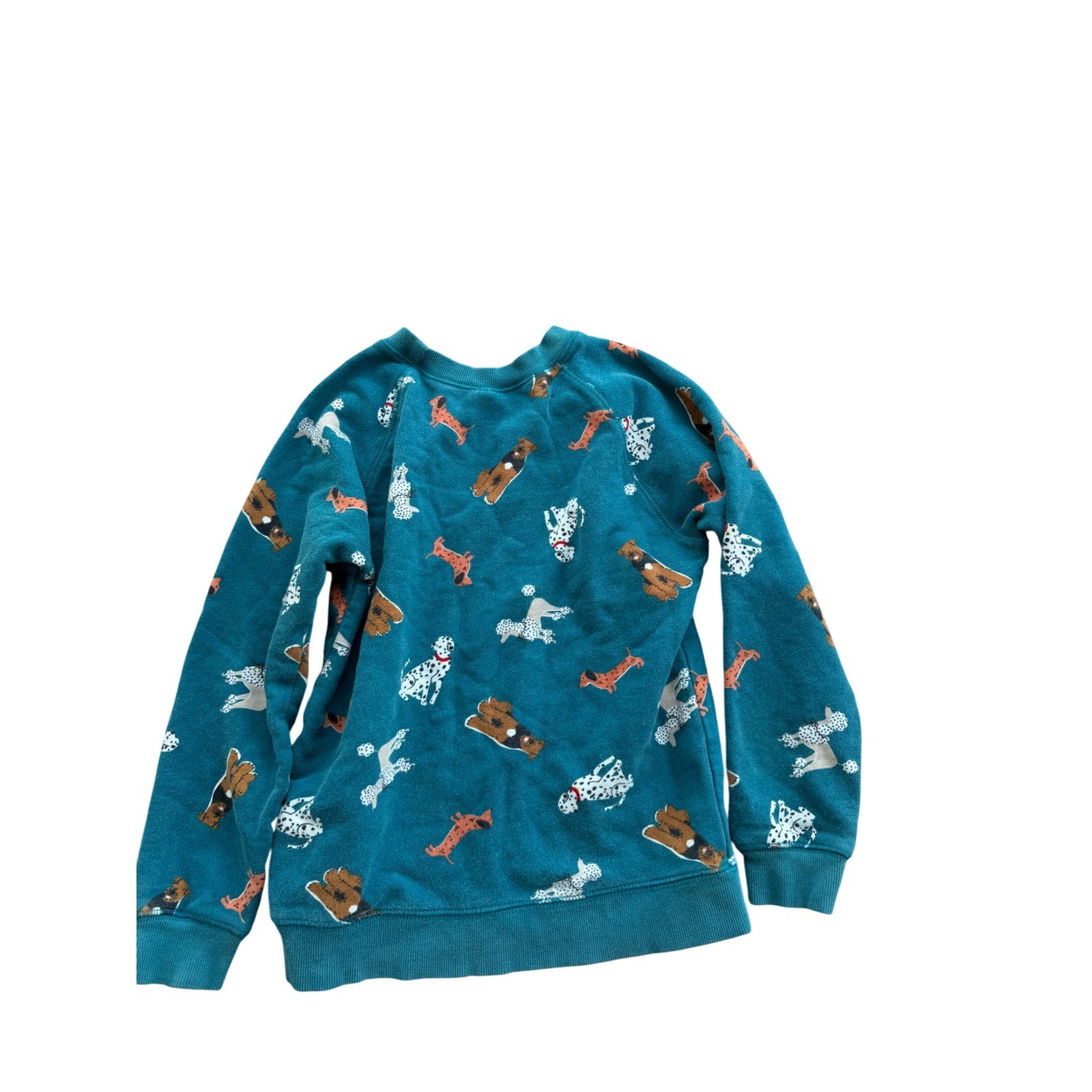 Hanna Andersson Kids Teal Blue All Over Dog Print Sweatshirt Size 10