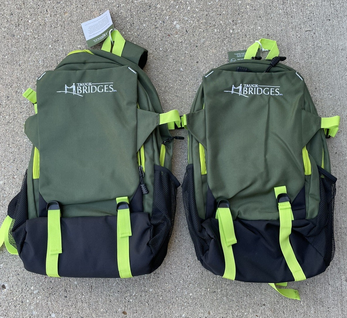 Pair of Tauck Bridges Green Foldable Backpacks with Playing Cards