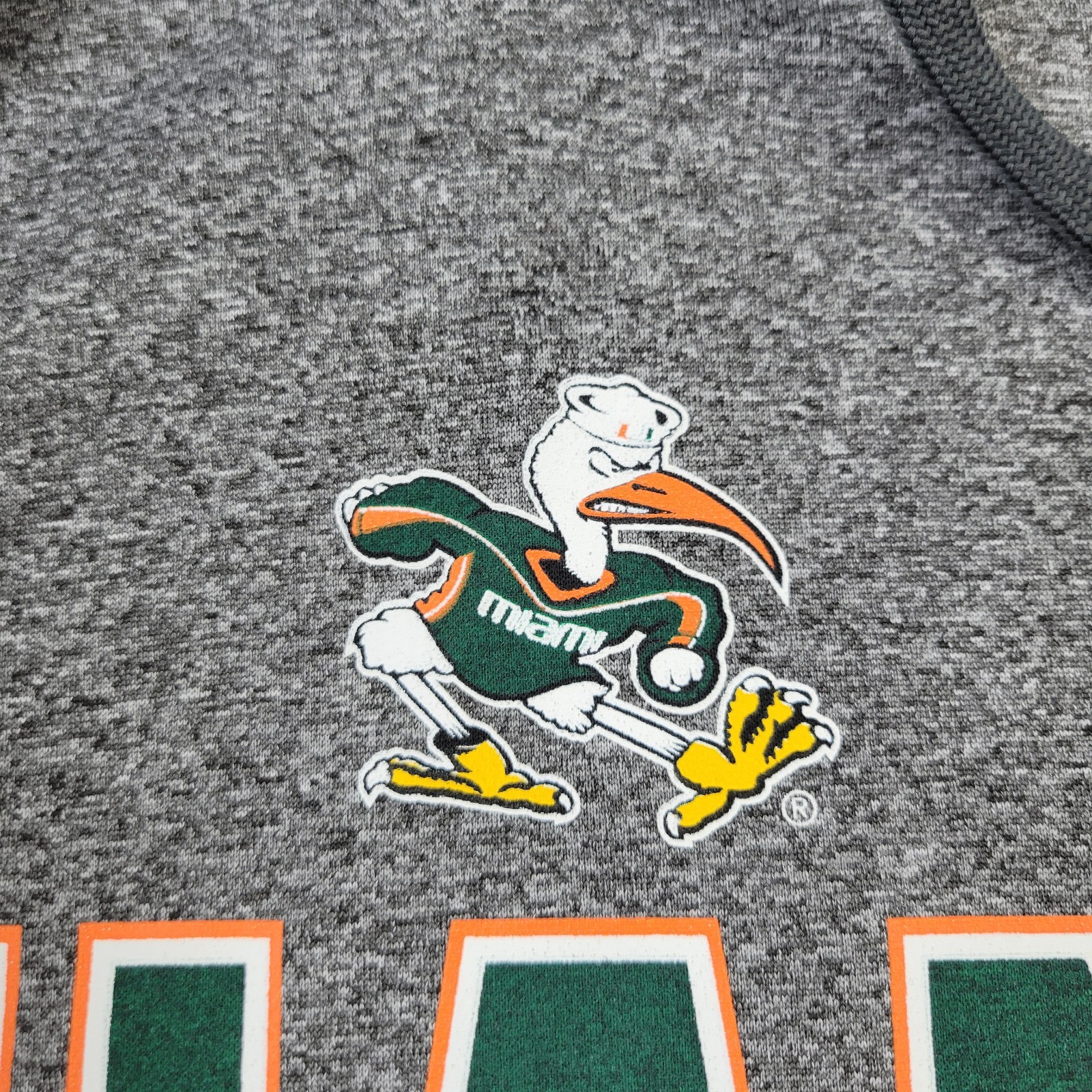 Champion Miami Hurricanes Hoodie Mens Large Gray Graphic Pullover Pockets