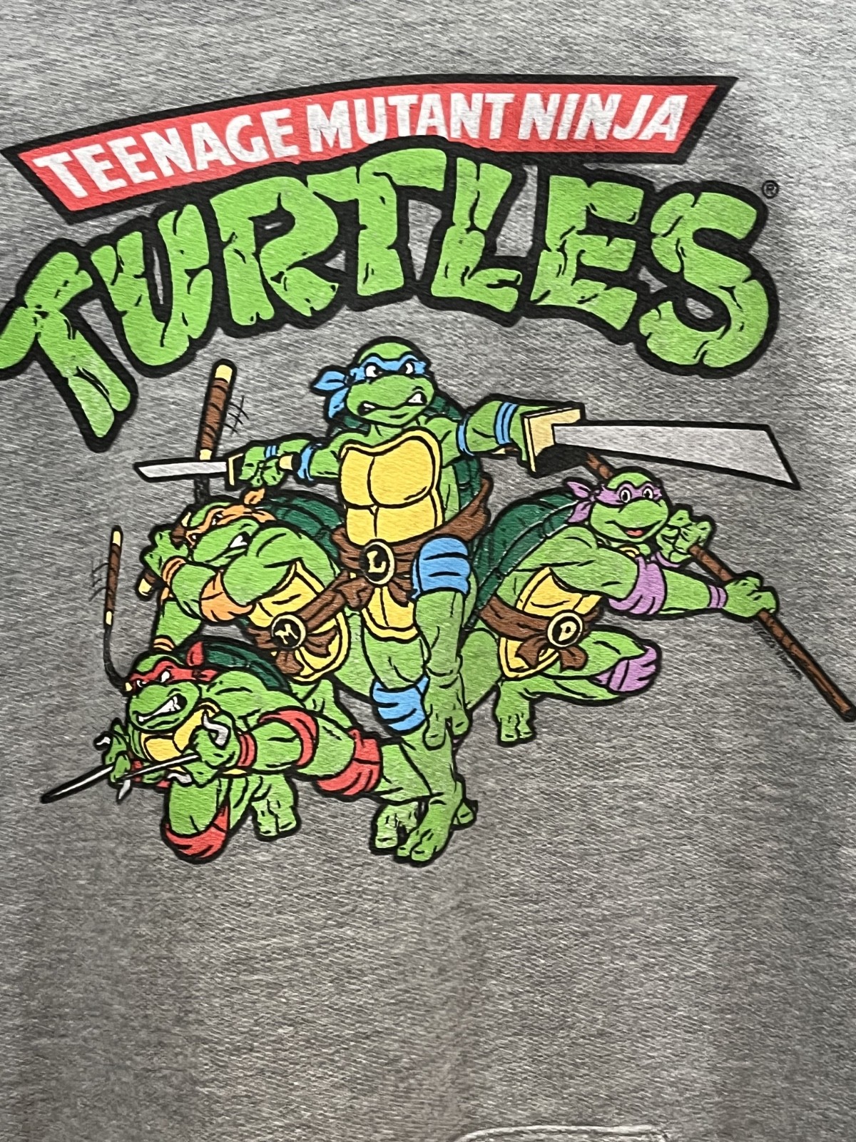 Teenage Mutant Ninja Turtles Hoodie Mens XL Gray Graphic Pullover TMNT Retro