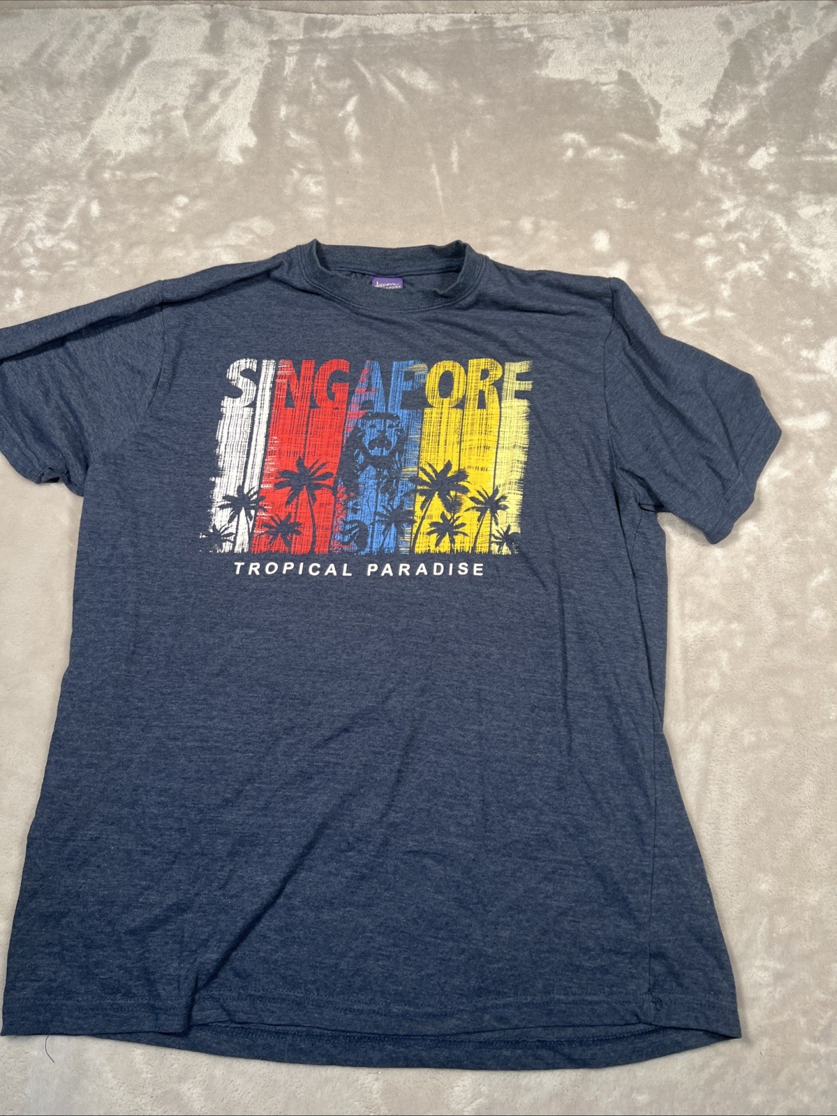 Mens Discover Singapore Blue T-shirt Size Large Cotton – Free Shipping