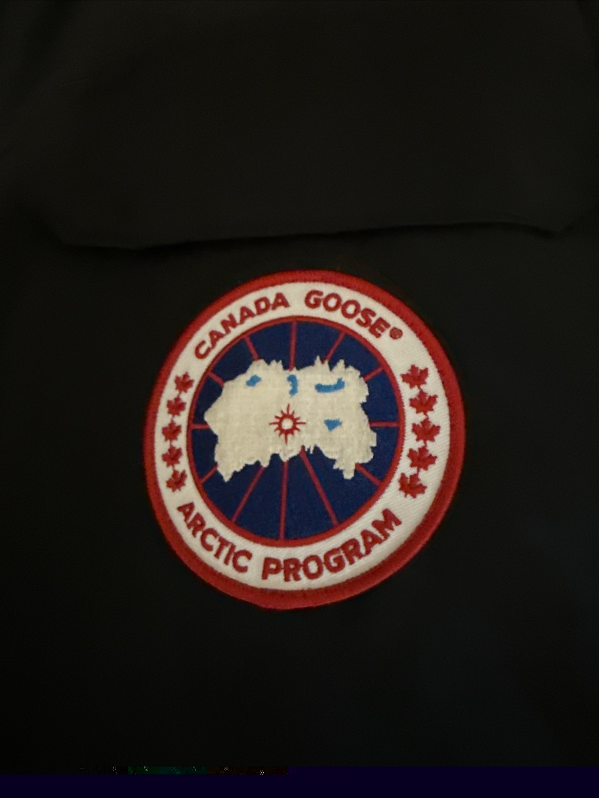 CANADA GOOSE 4660L EXPEDITION Heritage Down Parka Jacket Fur Trim Hood Coat L