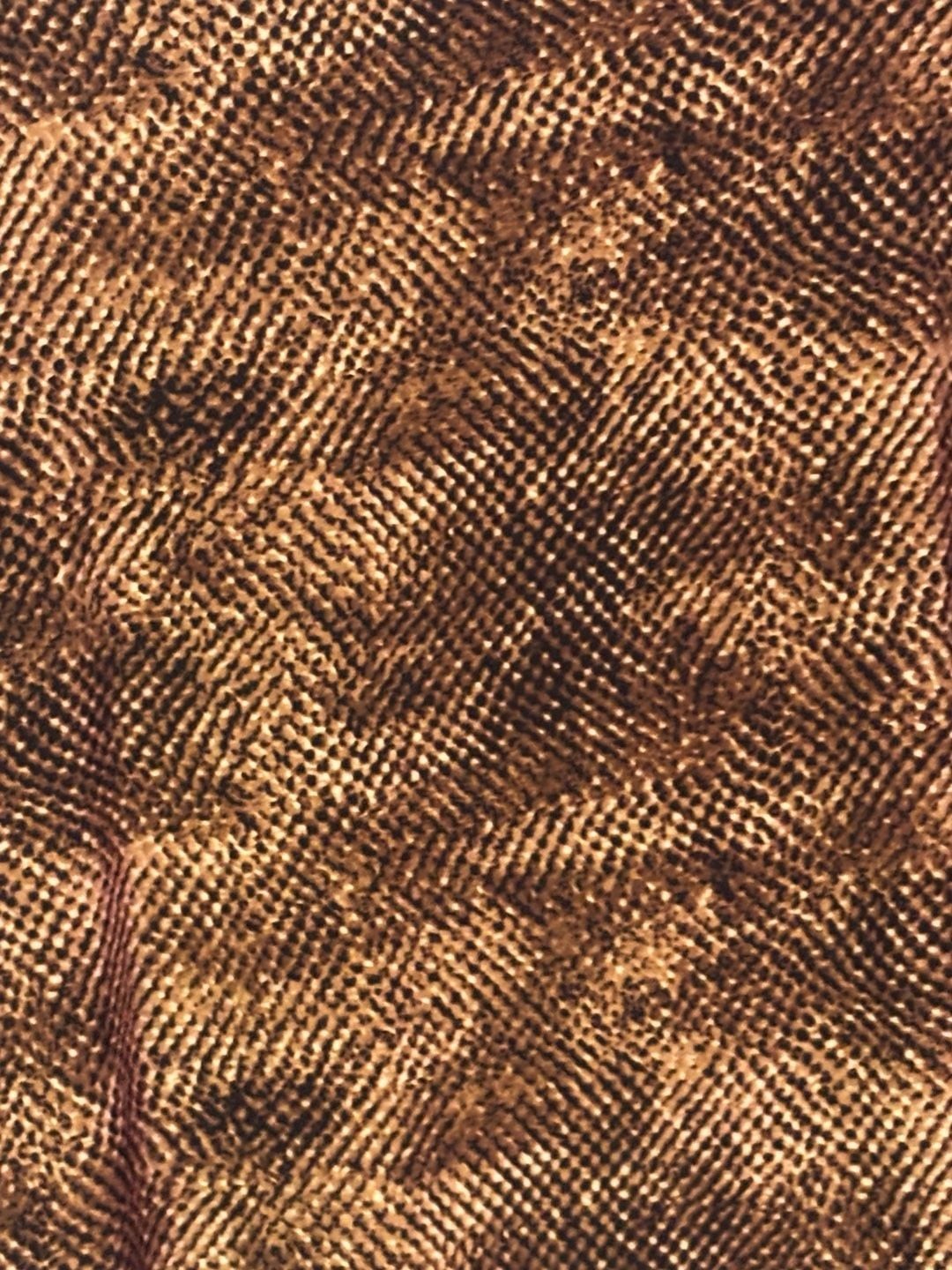 Rafaella Petites Brown Snakeskin Print Long Sleeve Scoop Neck Top Med