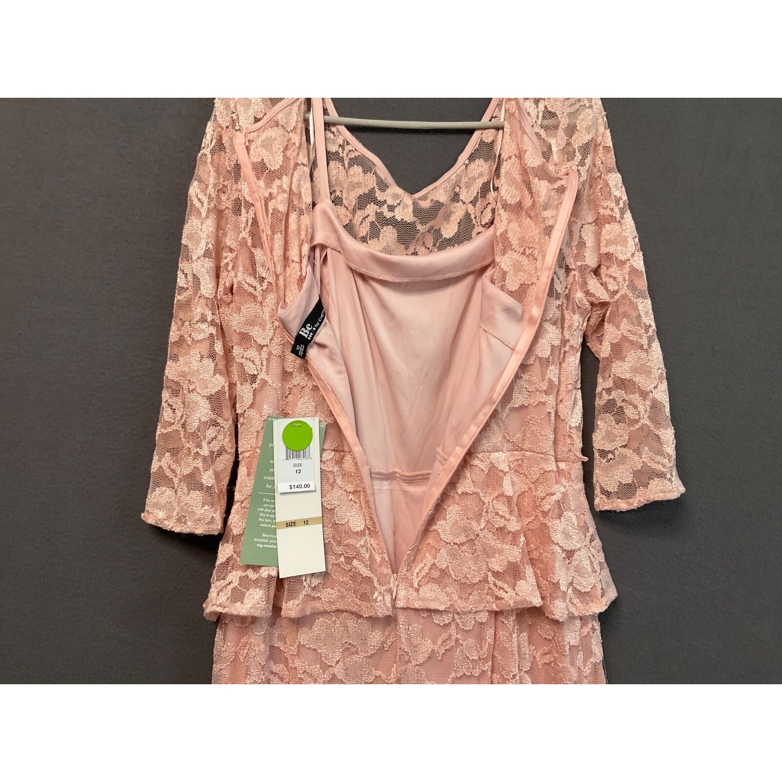 Chetta B Pink Floral Lace Maxi Dress Womens Size 12 Lined Formal Gown No Belt