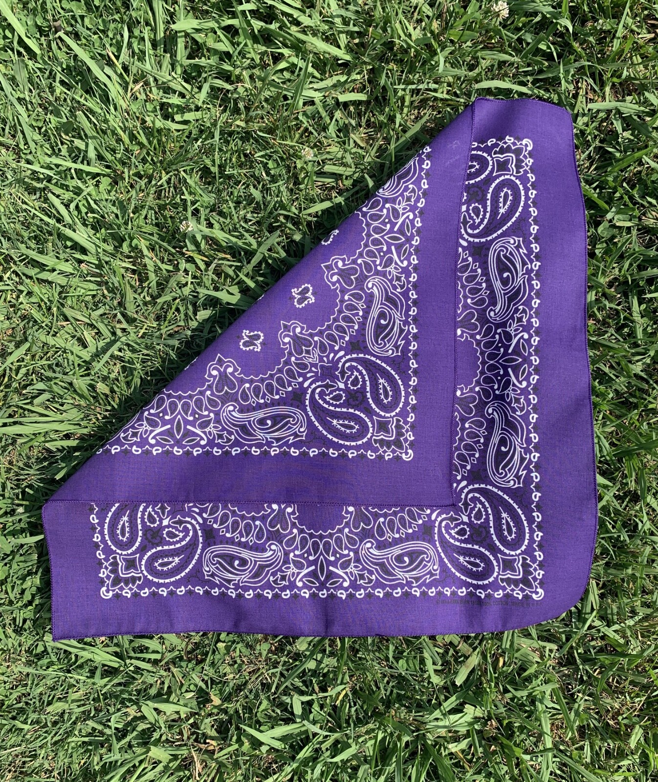 Purple Paisley 22x22in Hav-A-Hank Bandanna USA Made Bikers to Hikers Cup Holders