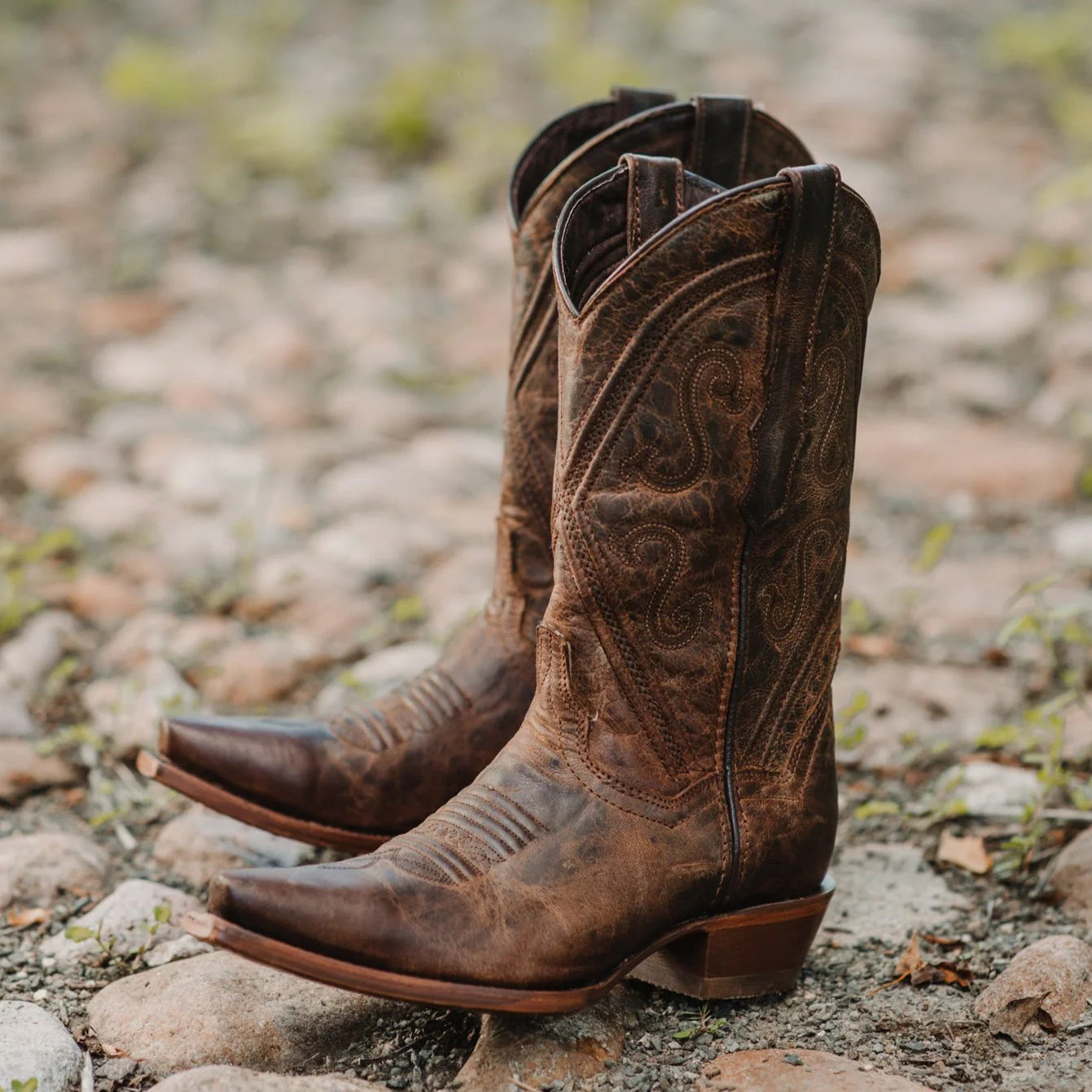 Cheyenne Cowgirl Boots | Women’s Snipped Toe Leather Boots (M50041)