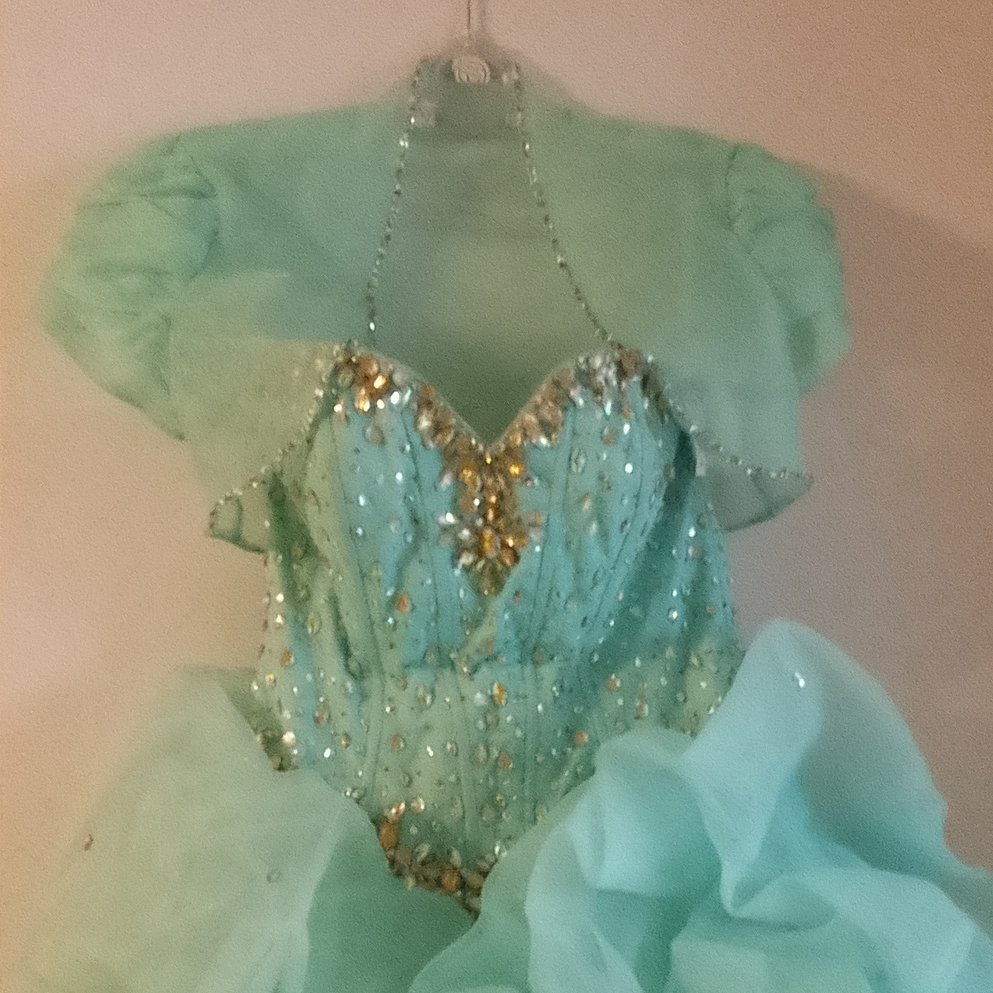 Mori Lee by Madeline Gardner Light Blue Ball Gown with Gold Accents