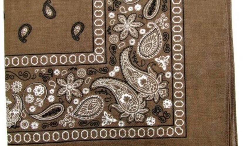 Novelty Bandanas Paisley Cotton Bandanas (Brown 22 X 22 in)