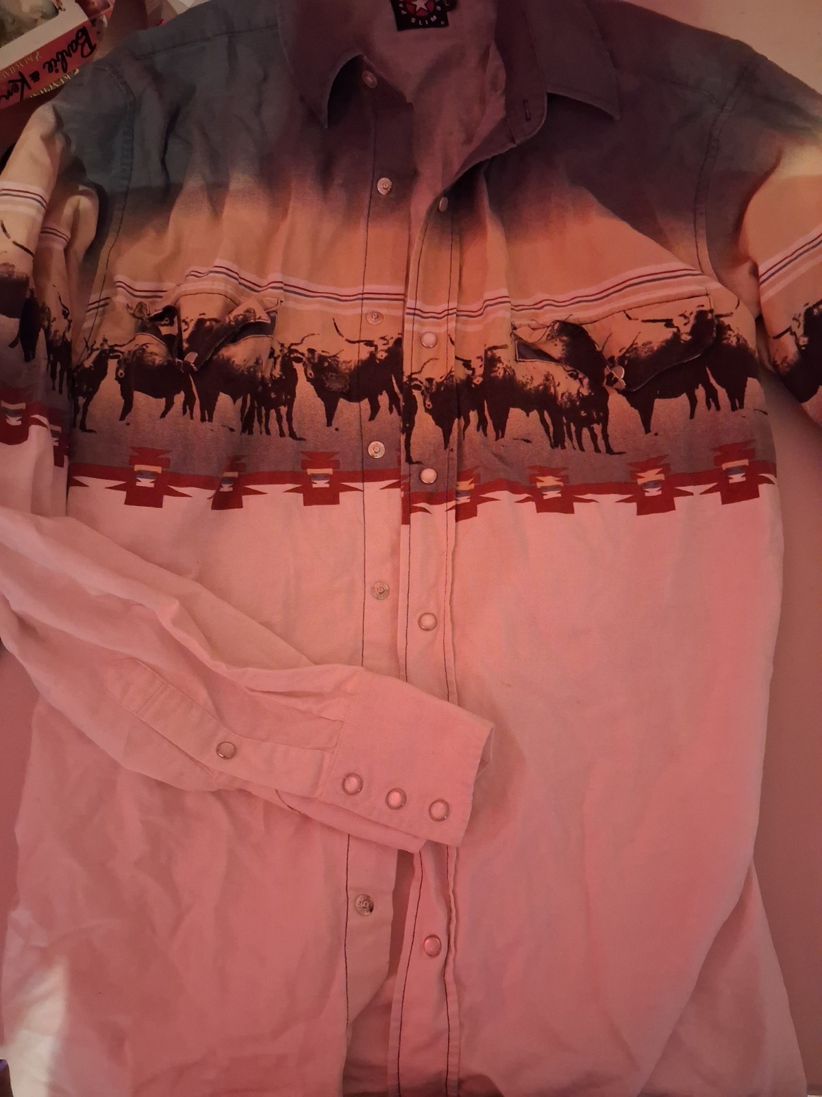 Panhandle Slim Men’s Large Cattle Drive Pearl Snap Shirt Sunset Aztec Border