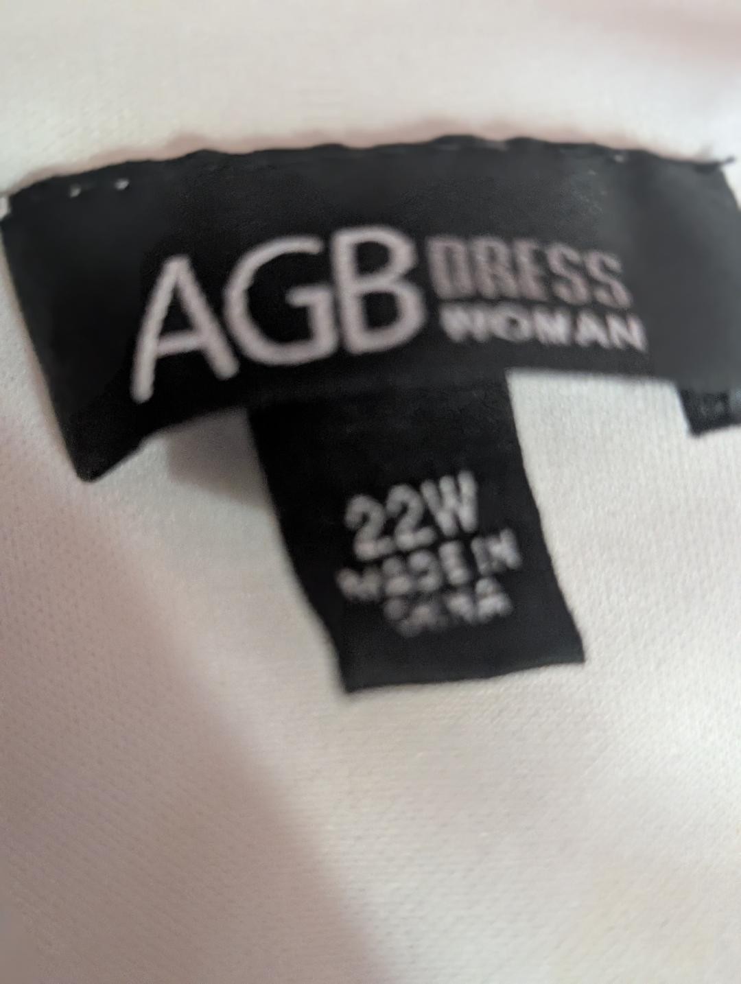AGB Woman Floral dress, size 22W