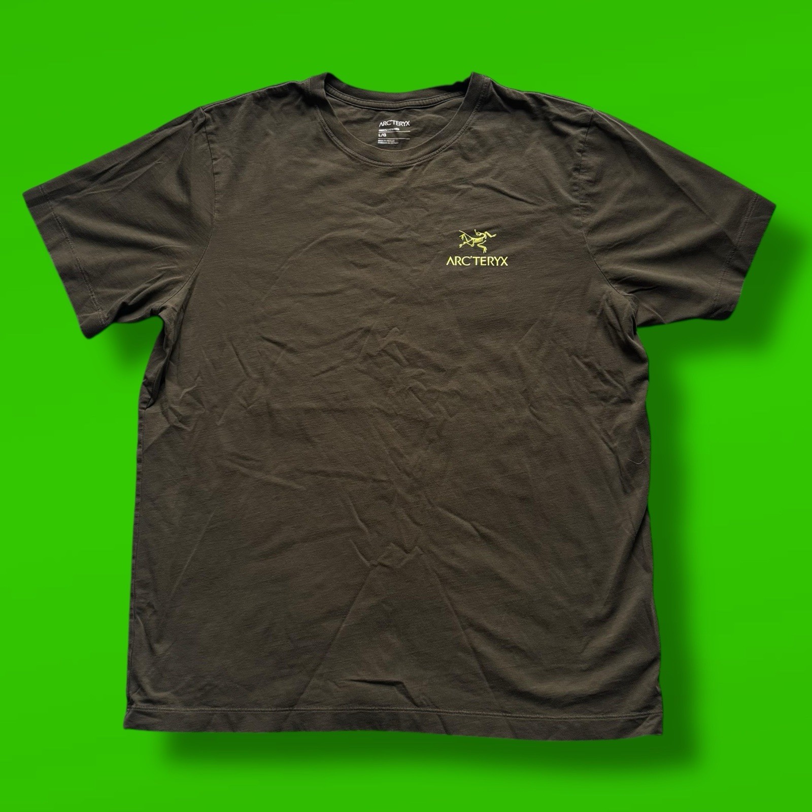 Arcteryx T Shirt Mens L Olive Green Short Sleeve Graphic Tee Gorpcore Hiking