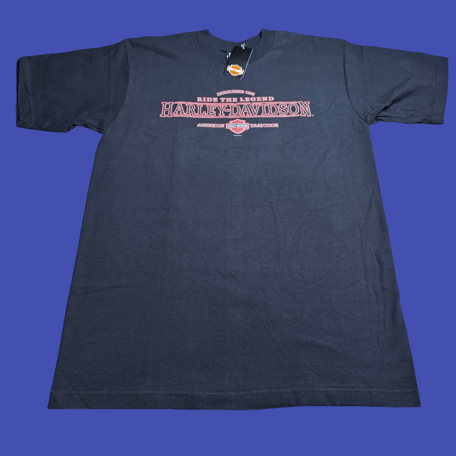 NWT Y2K Harley Davidson United Arab Emirates T Shirt Black Large USA Camel Biker