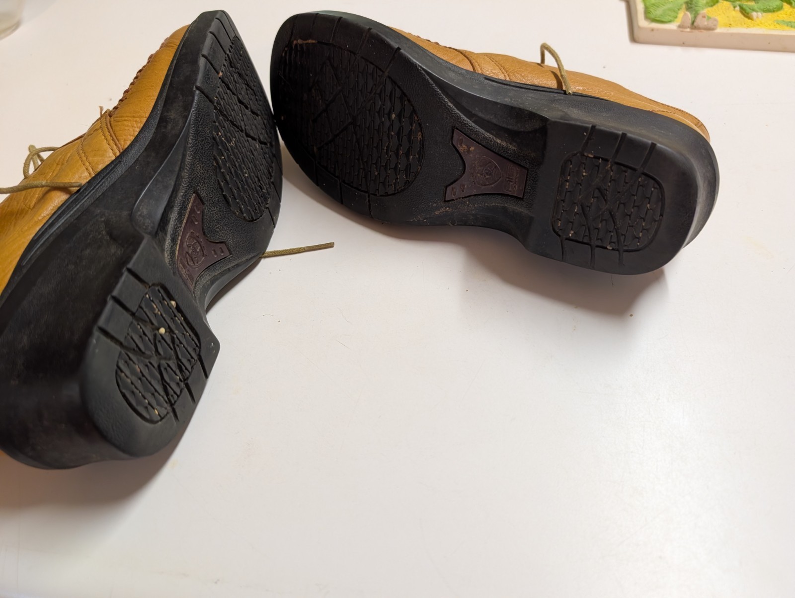 Adorable Super Soft Ariat Boots