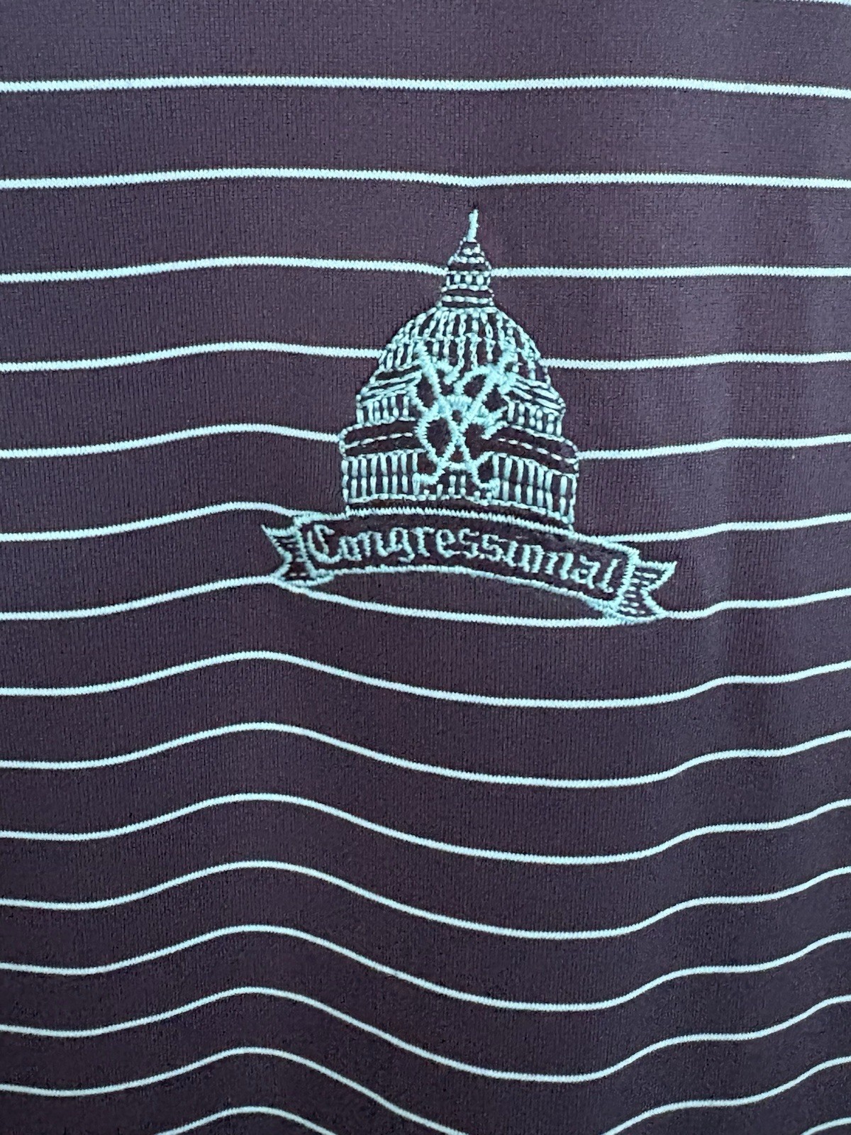 Peter Millar Crown Crafted Congressional Country Club Polo Top 100 RARE Size L