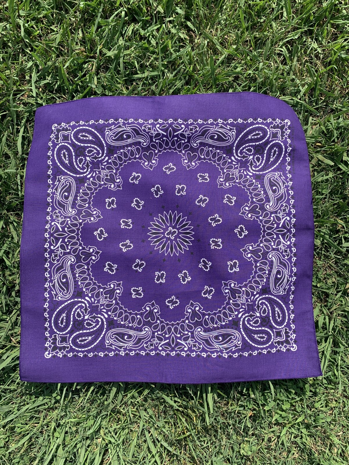 Purple Paisley 22x22in Hav-A-Hank Bandanna USA Made Bikers to Hikers Cup Holders