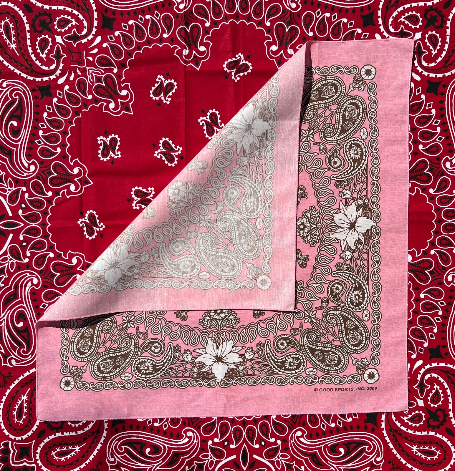 Floral Paisley 22×22 Bandanna