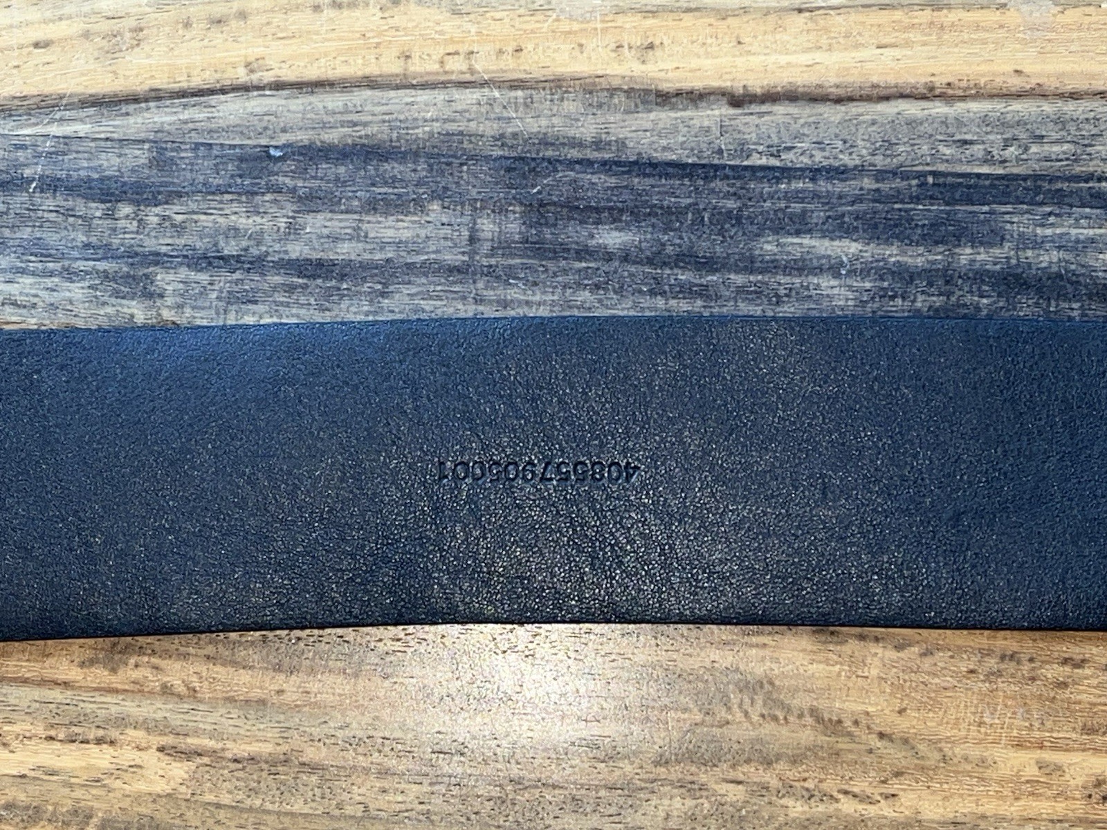 NWT Ralph Lauren Collection Genuine Alligator Waist Belt Medium Italy $1950