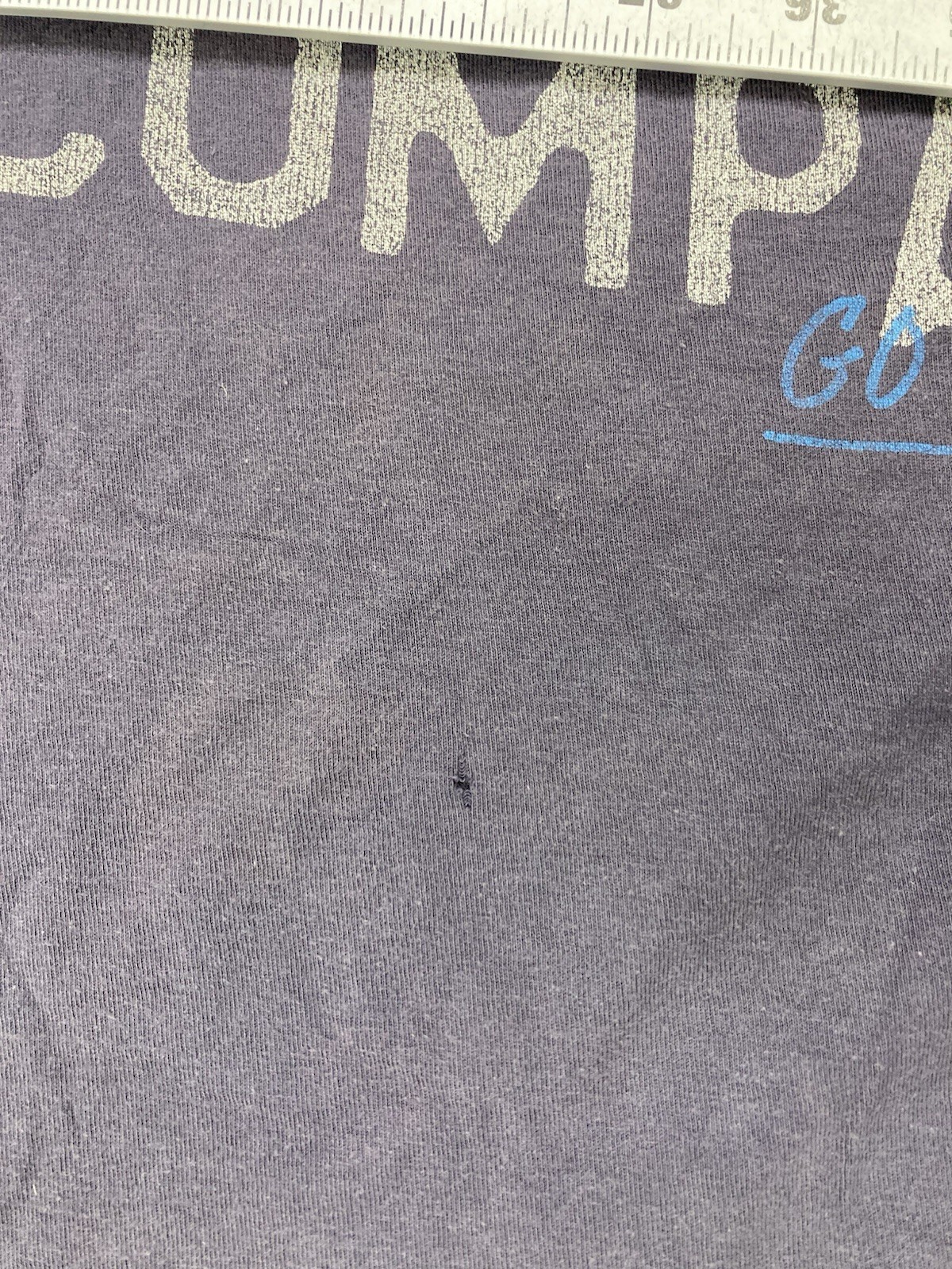 Polo Jeans Ralph Lauren RL 67 Company Graphic T-shirt Men Medium Oversized Blue