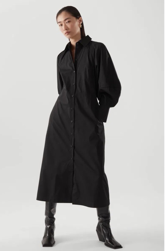 Cos Dress Size 6