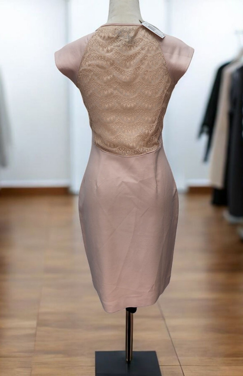 Carmen Marc Valvo NWT Blush Sheath Dress Size Small Lace Back Cocktail Party