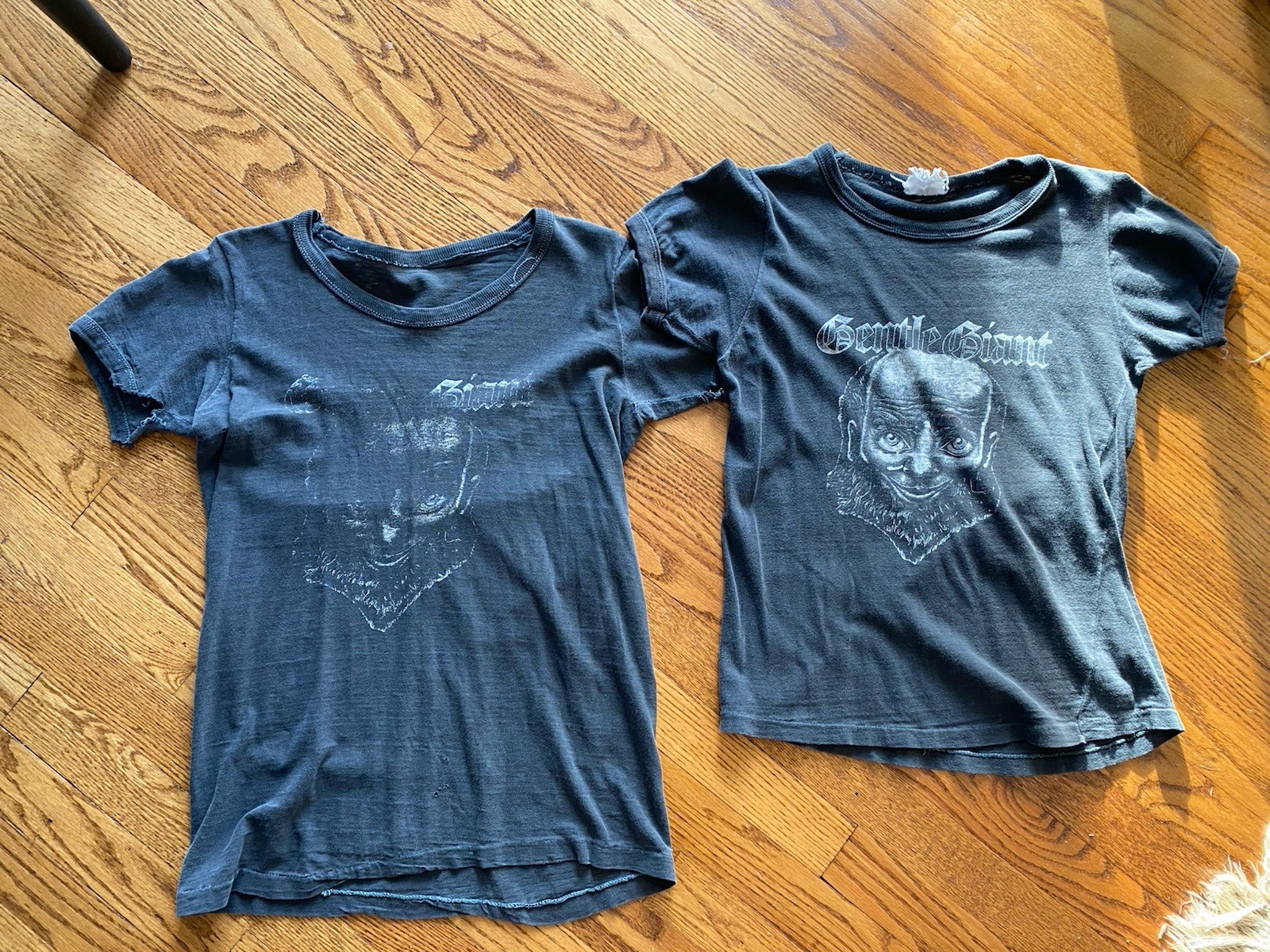 Vintage 1970s Lot Of 2 Gentle Giant British Band Single Stitch T Shirts