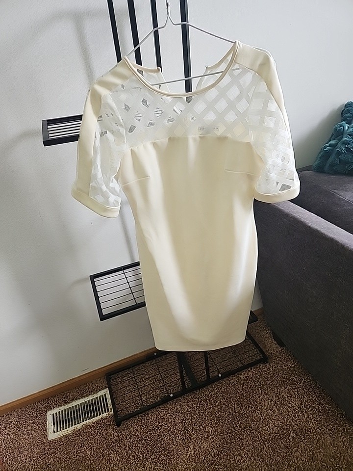 Sandra Daren Size 6P Ivory Sheath Knee-Length Dress Round Neck Mesh Yoke