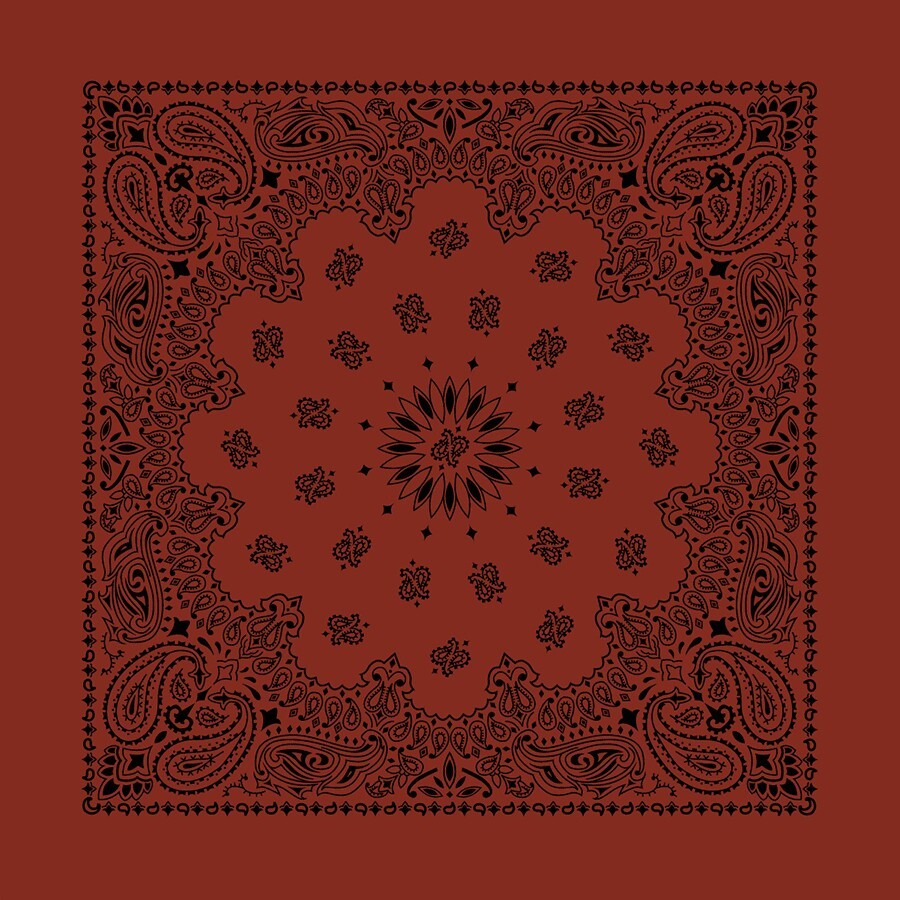 Carolina Creative Bandanna (Terracotta) Contemporary Paisley 22 x 22 100% Cotton