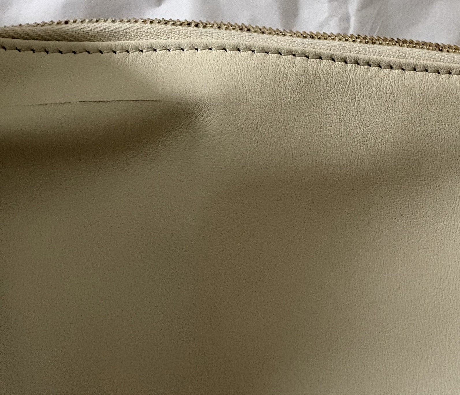 Authentic The Row Aspen Clutch