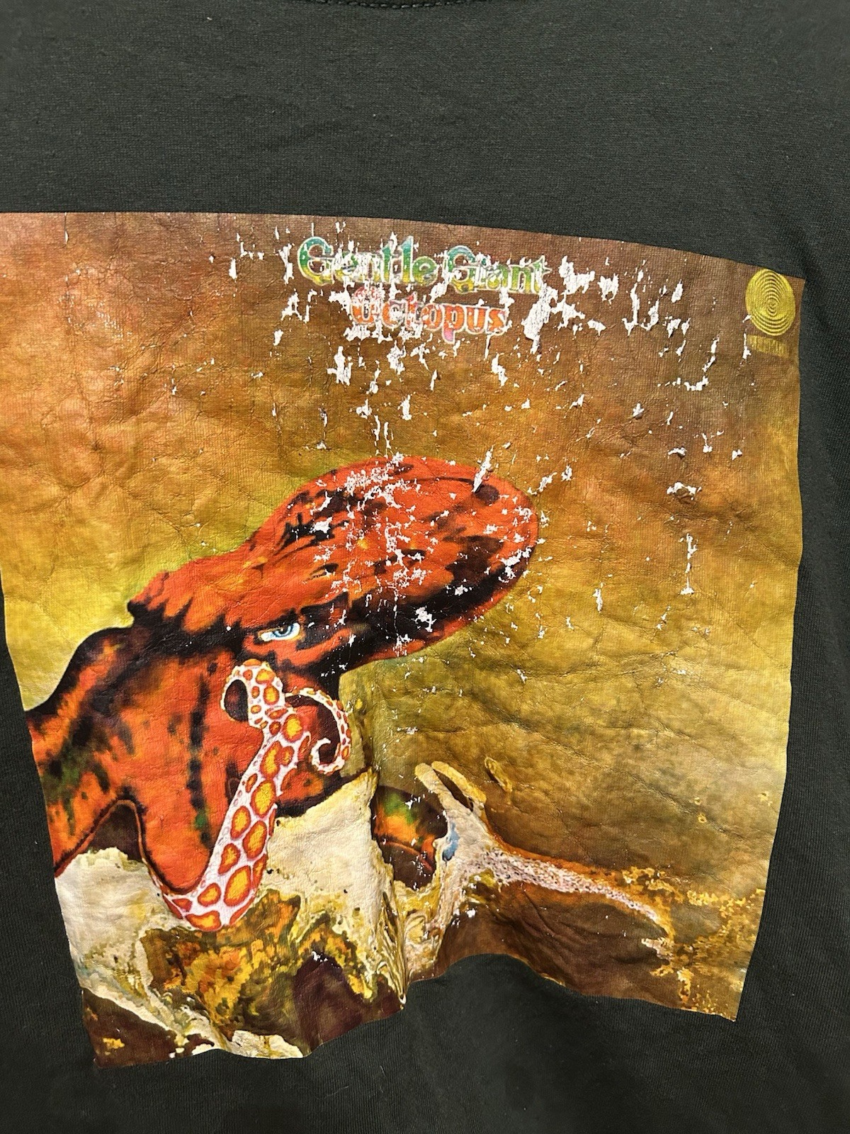 Gentle Giant Octopus Green Tshirt