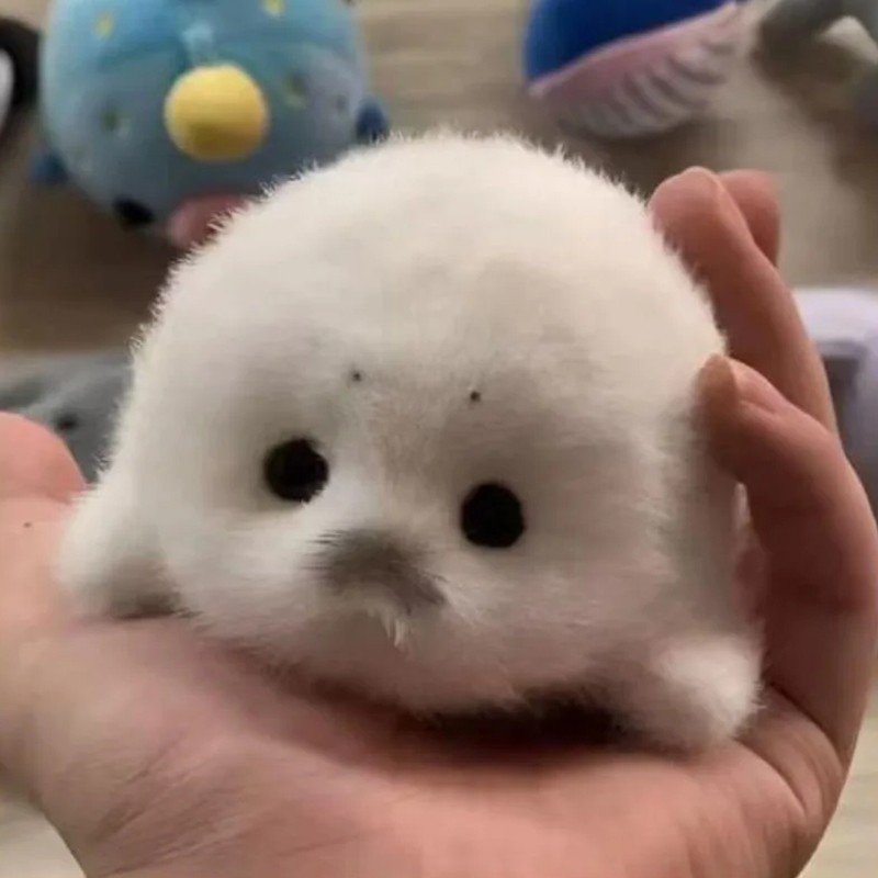 Seal Plush Keychain Bag Charm Cute Marine Animal Pendant Travel Souvenir