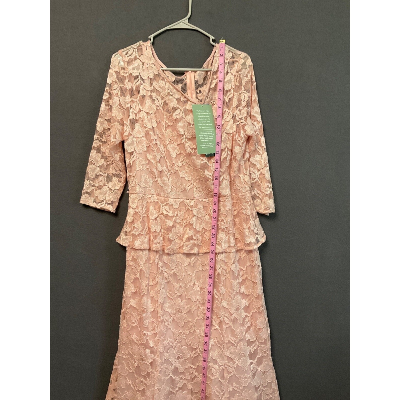 Chetta B Pink Floral Lace Maxi Dress Womens Size 12 Lined Formal Gown No Belt