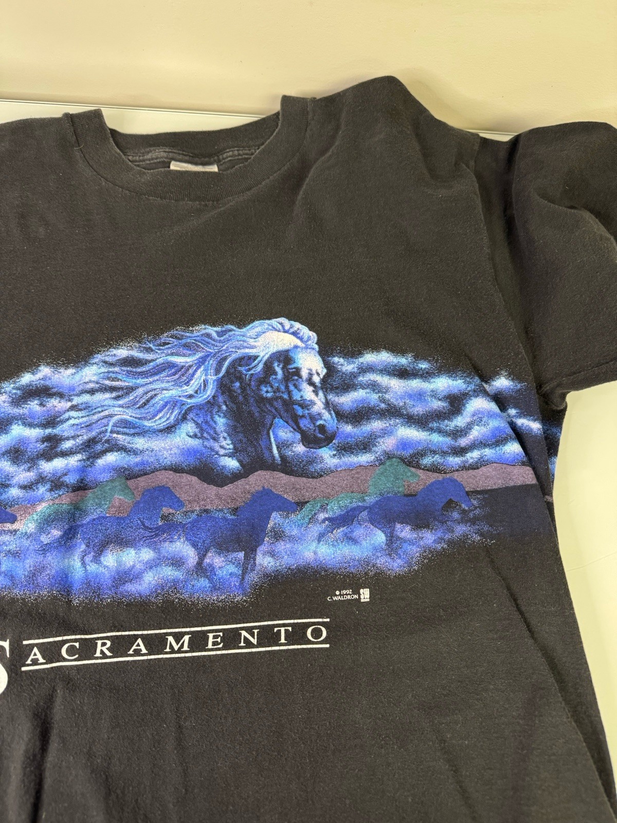 Vintage 1992 C. Waldron Sacramento California T-Shirt Size XL Wild Horses