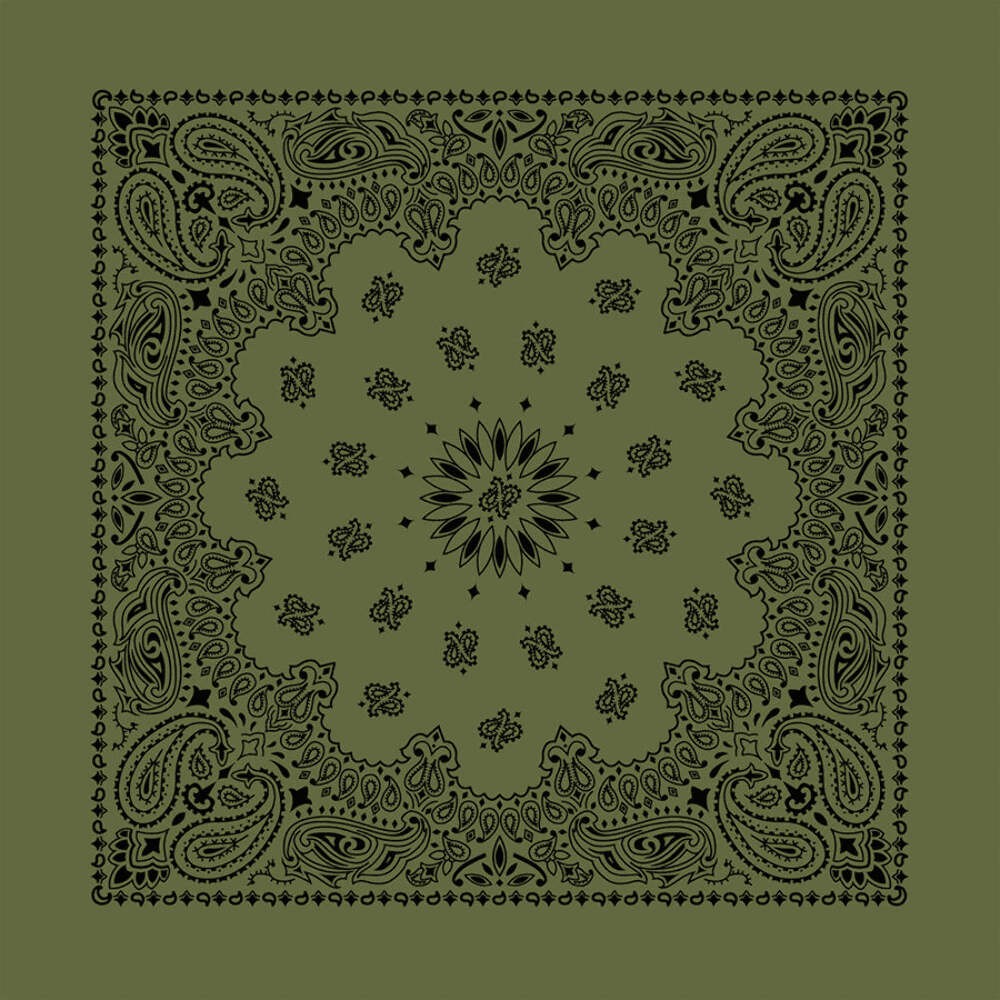Carolina Creative Bandanna (Olive) Contemporary Paisley 22″ x 22″ 100% Cotton