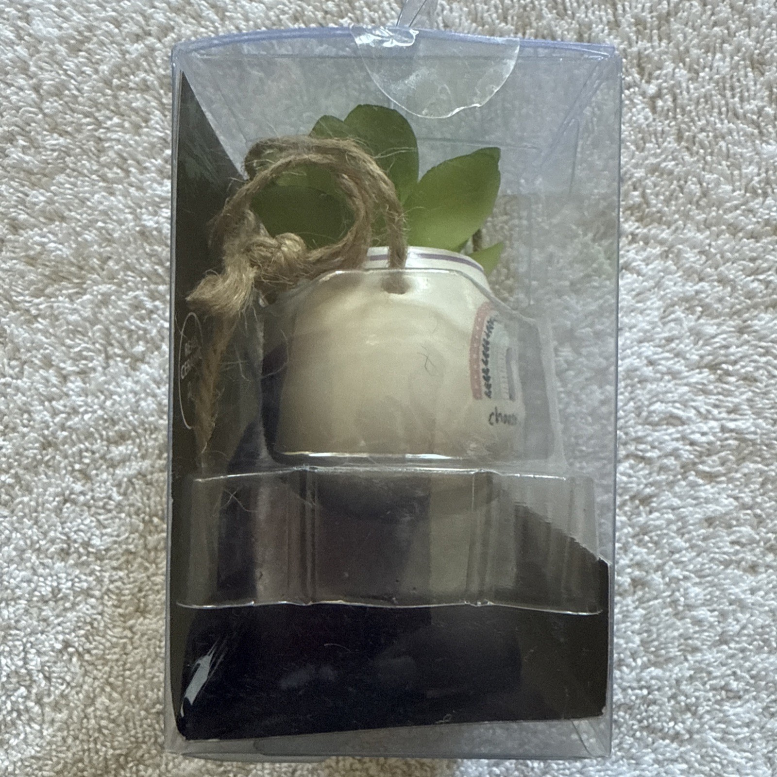 Mini Succulent Car Mirror Charm 7” Hang Length 2×3