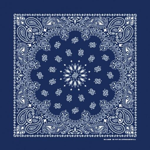 Navy Paisley 22×22 Bandanna