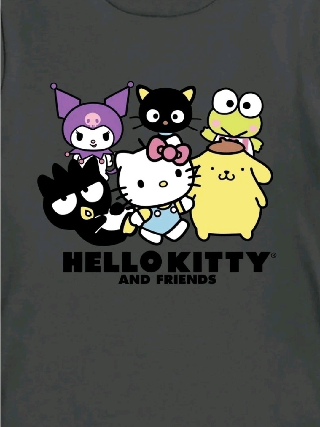 Sanrio Hello Kitty Boys Classic Graphic T-shirt- Gray☆Choose A Size XS,S,M&2XL