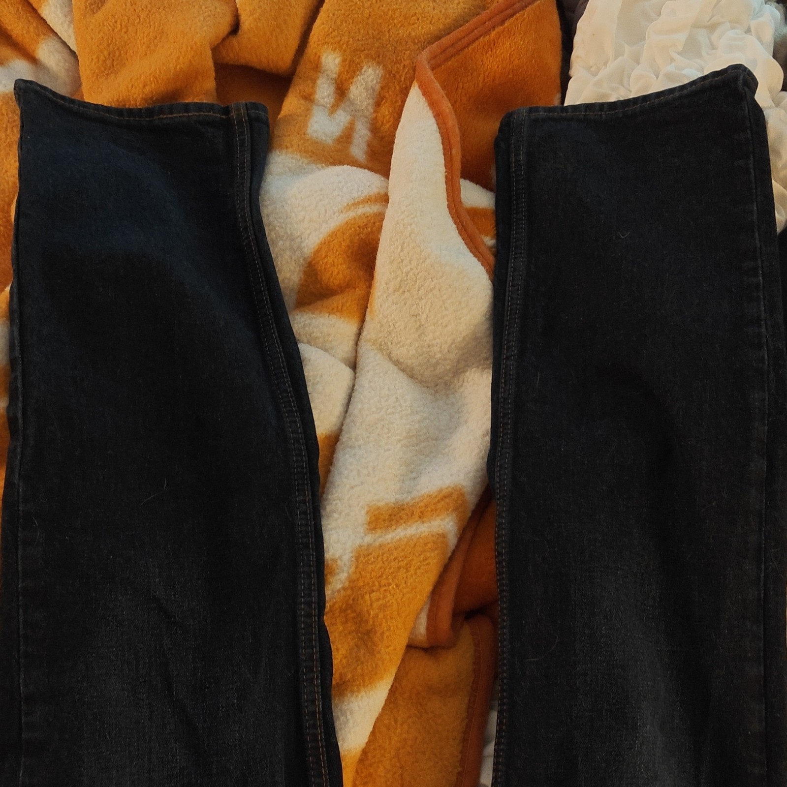 Levi Strauss Signature Gold Men’s Carpenter Jeans
