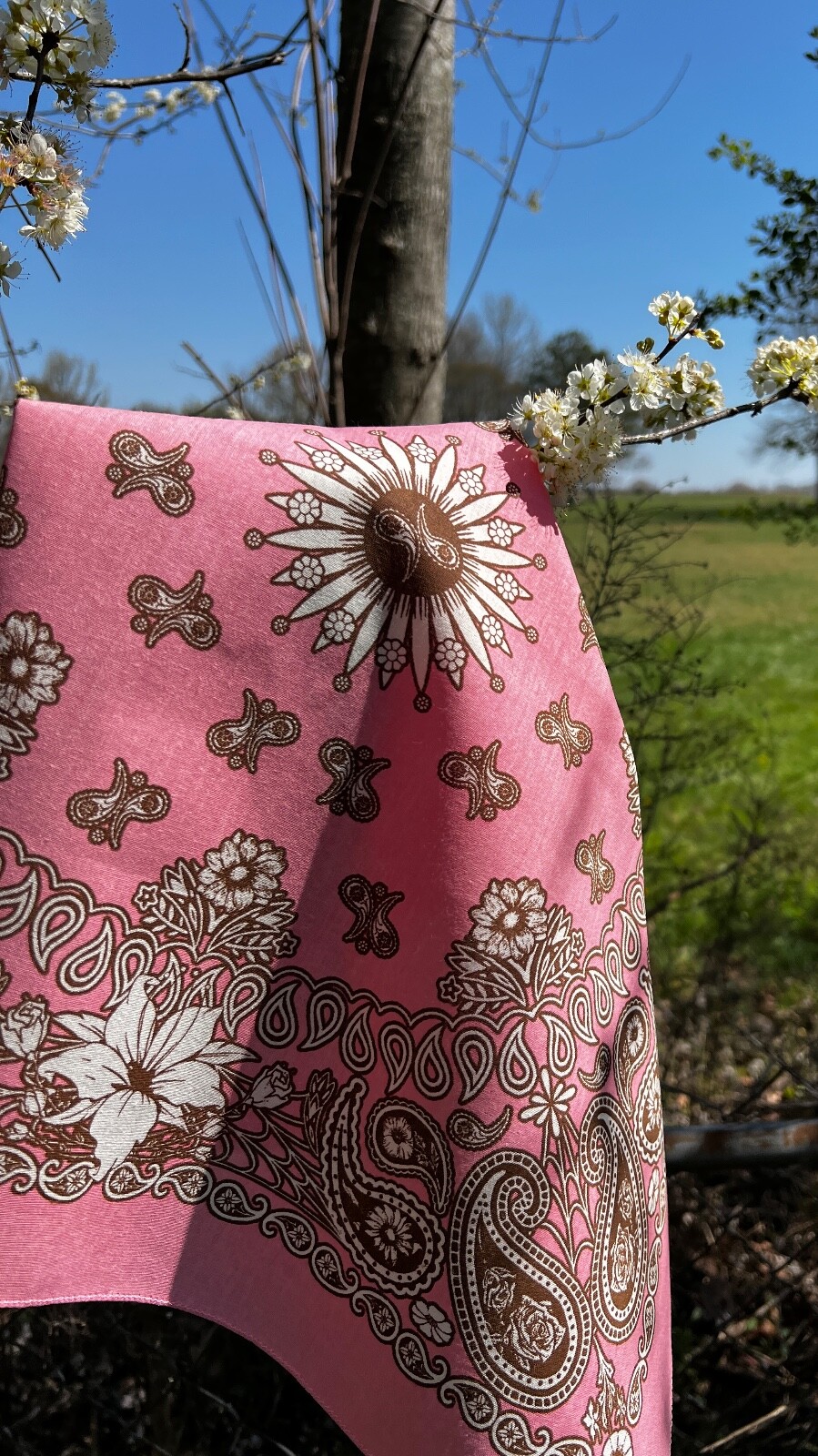 Floral Paisley 22×22 Bandanna