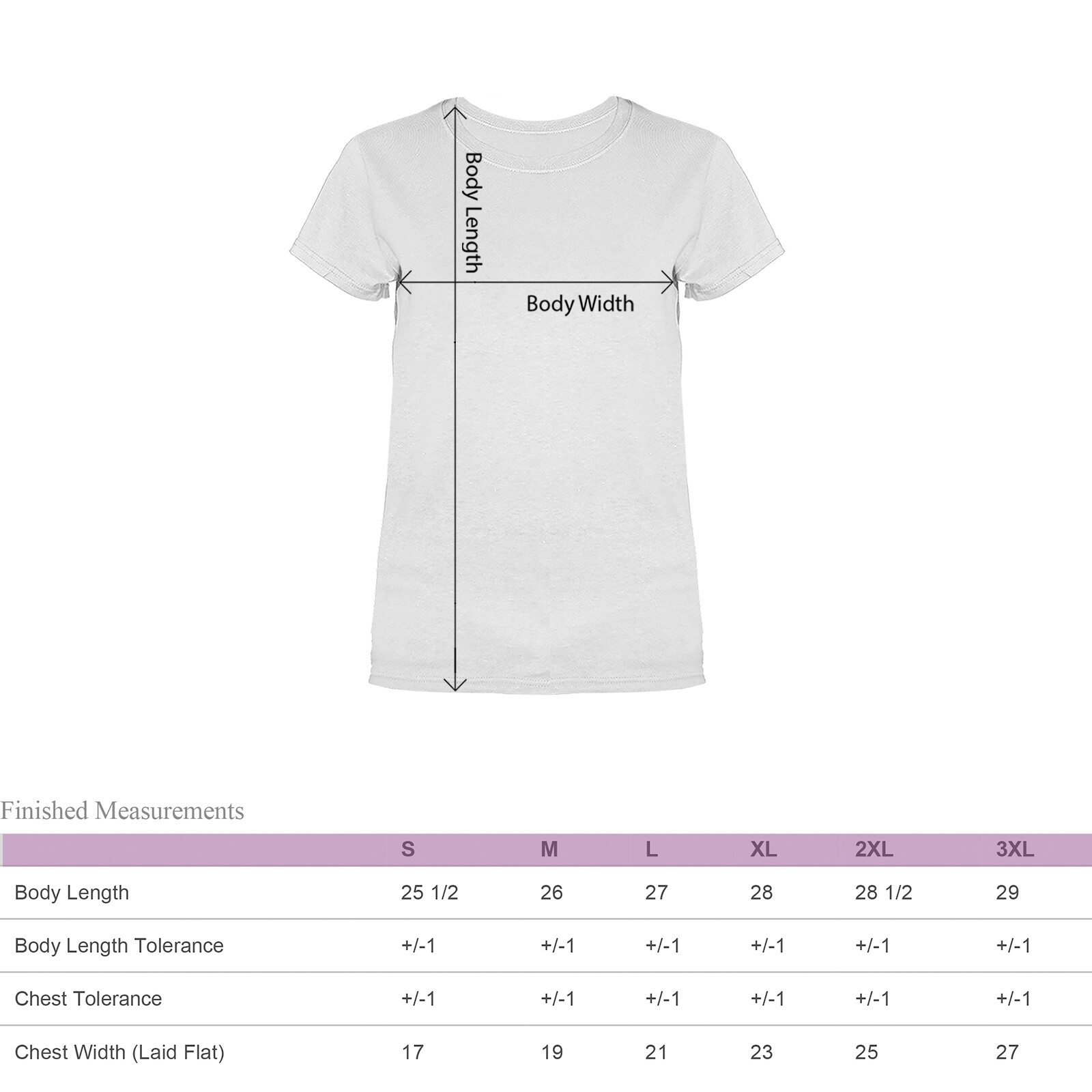 2nd Amendment America’s Original Homeland Security Women’s T-shirt