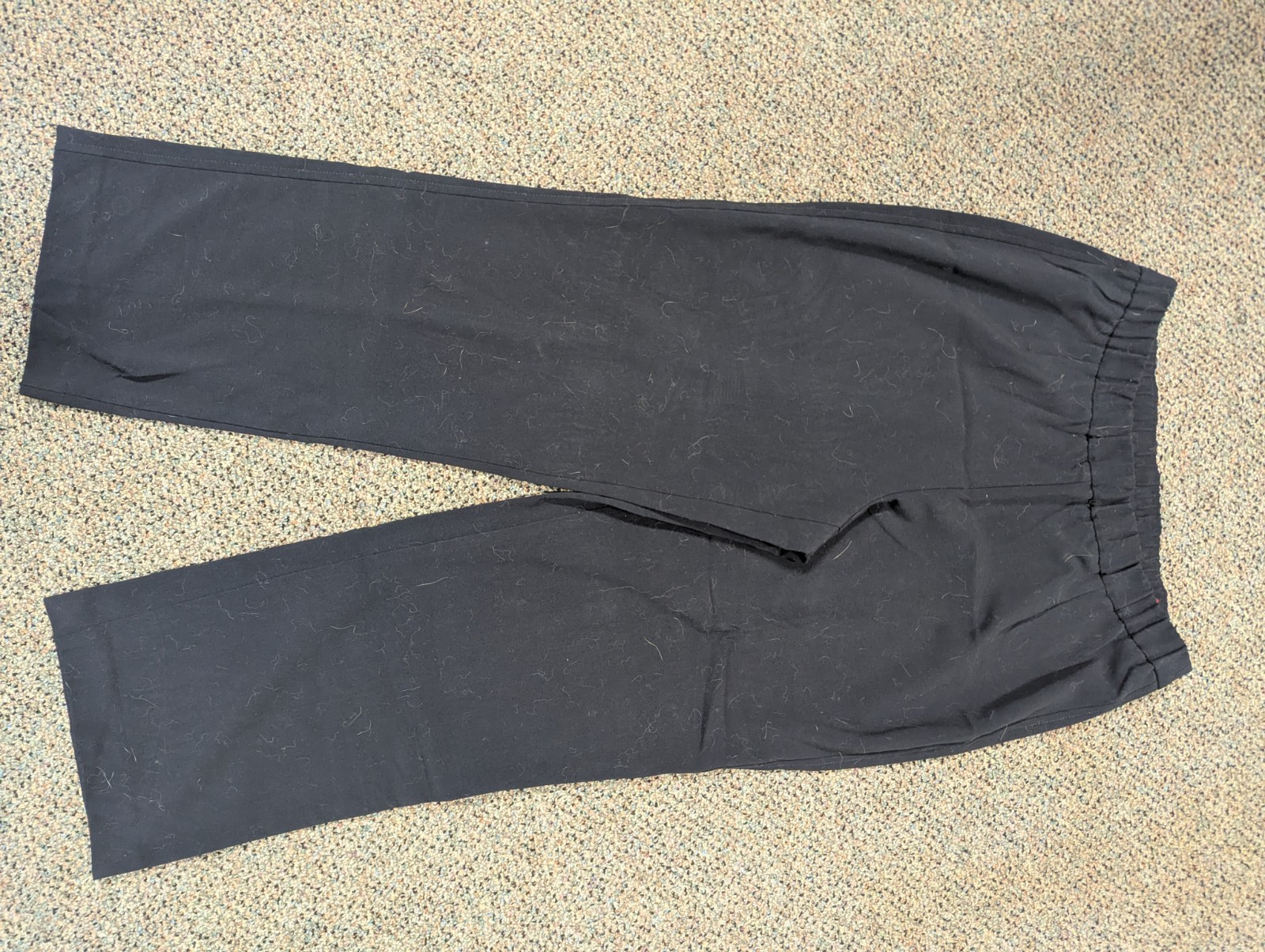 KIM ROGERS Petite Black Pull On Stretch Pants Comfort Career Women’s Size 8P