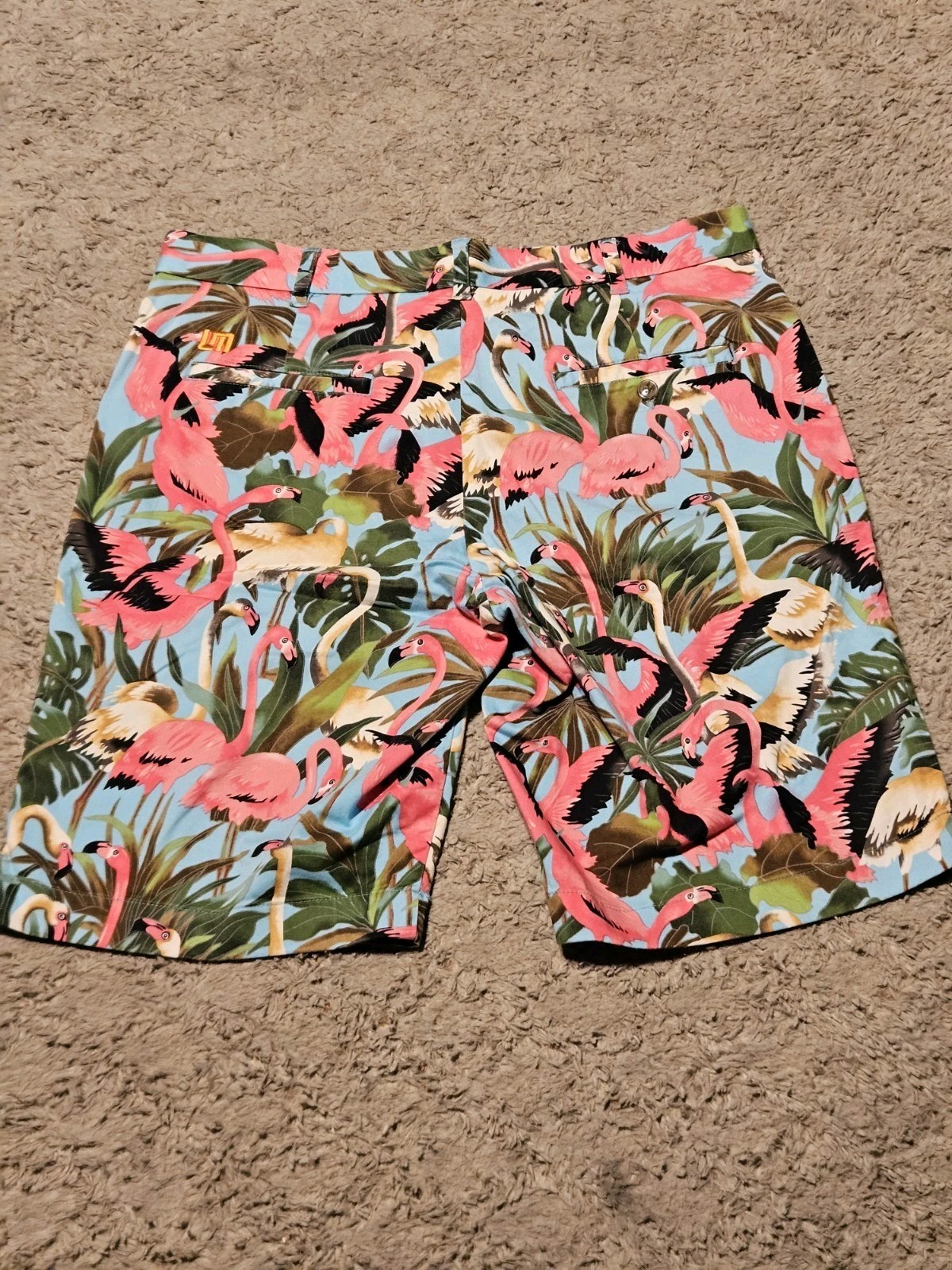Loudmouth Men’s Tropical Flamingo AO Print Heritage Golf Shorts Size 34 EUC