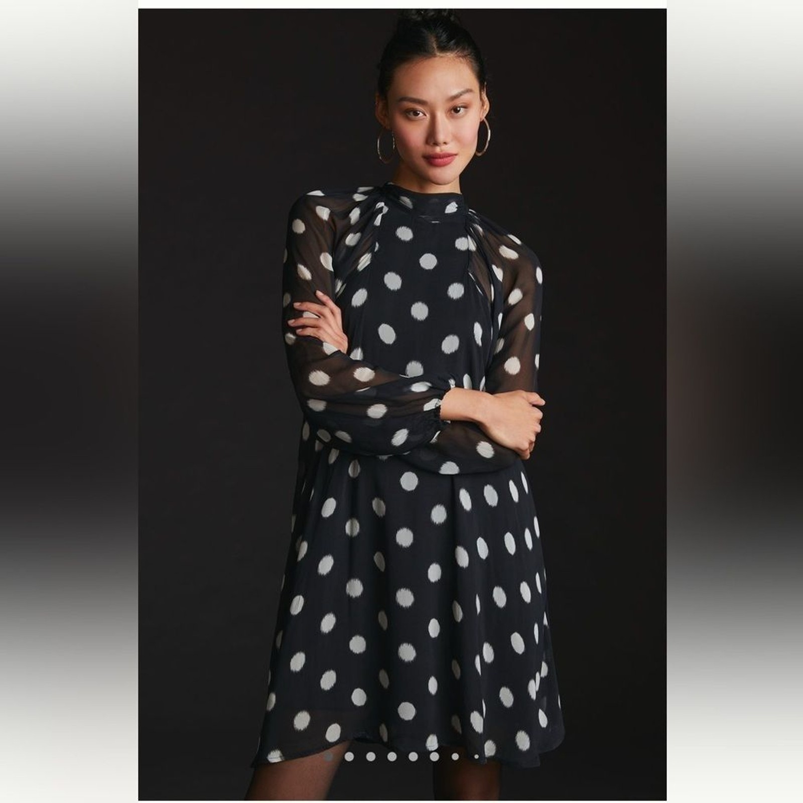 Maeve Long Sleeve Sheer Mini Dress