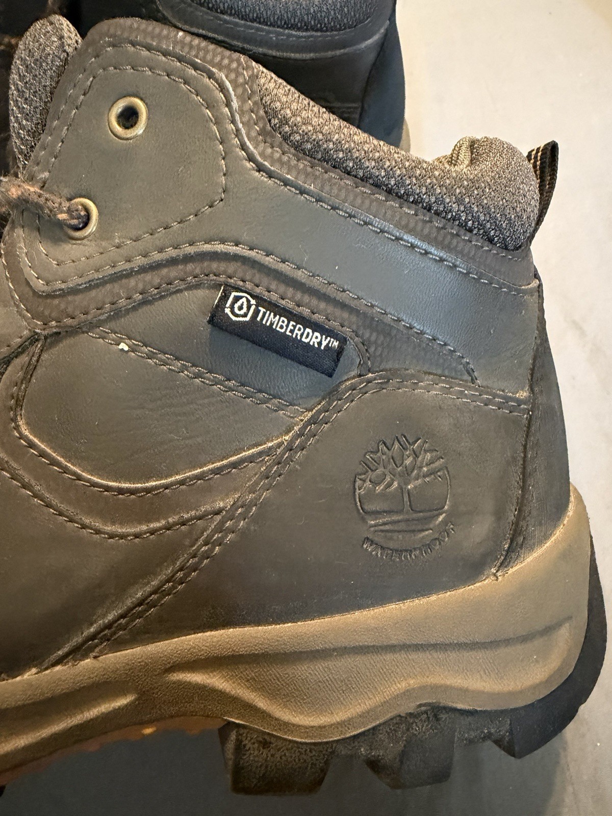 Timberland Boy’s Mt. Maddsen A14IB Ankle Rugged Hiking Boots Shoes Sz 5.5