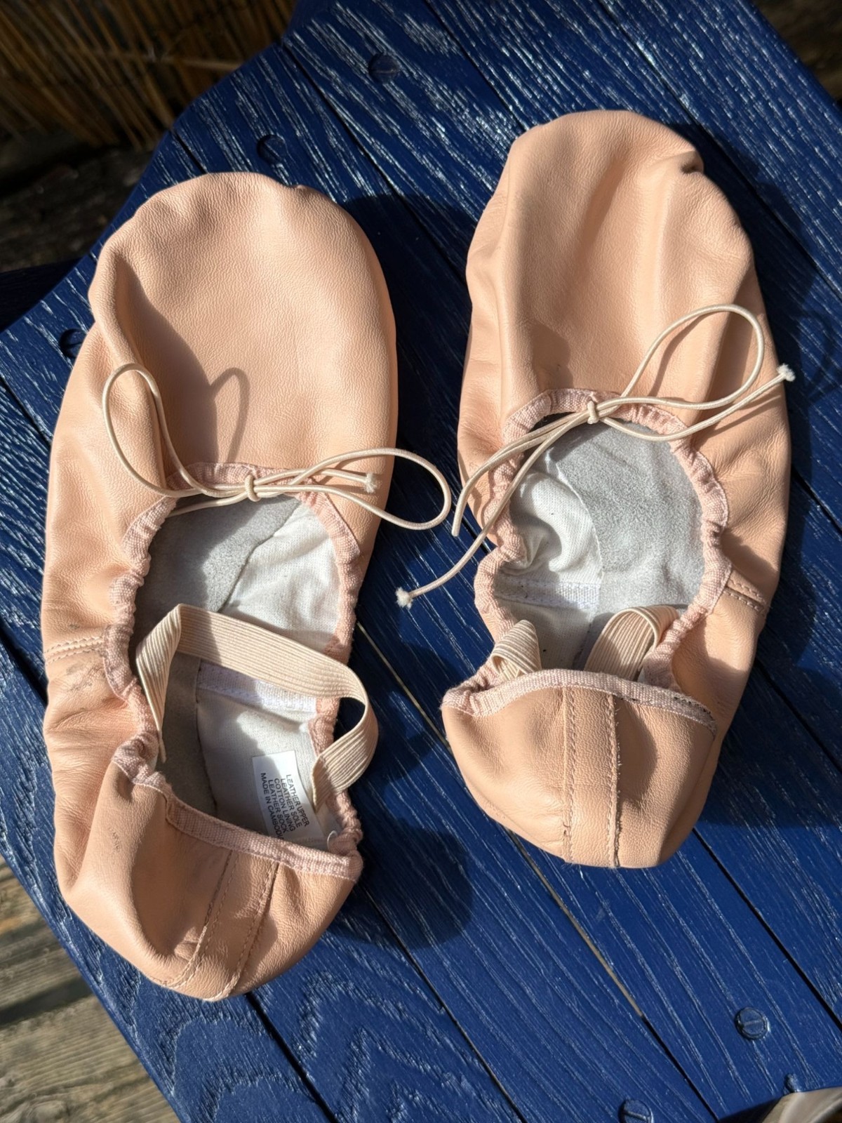 Bloch Women’s Dansoft II Split Sole Pale Pinke Leather Ballet Slipper in 8c